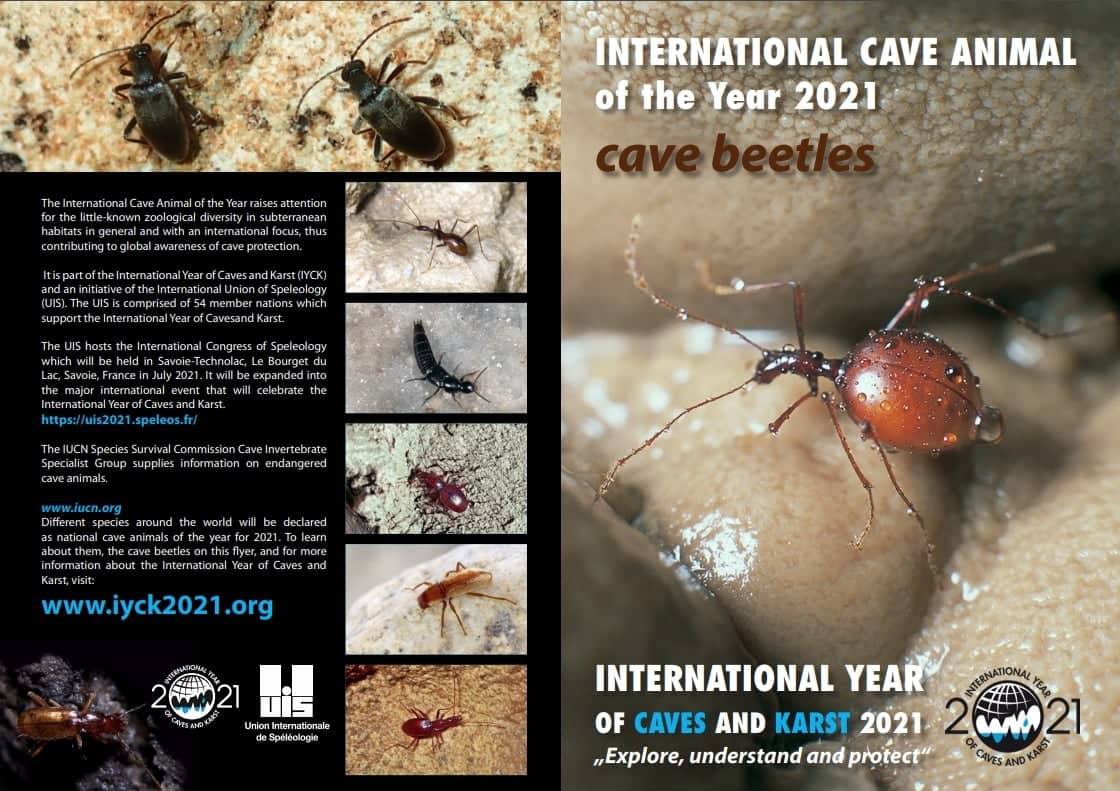 uis, Rok 2021 je Medzinárodným rokom jaskýň a krasu, Slovenská speleologická spoločnosť