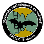 images kluby logo bratislava