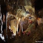 , Jasovská jaskyňa, Slovenská speleologická spoločnosť