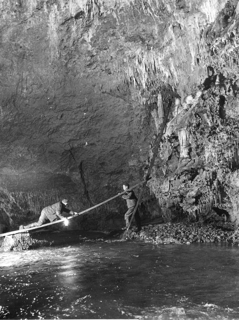 , Sto rokov po objave Jaskyne slobody v Demänovskej doline, Slovenská speleologická spoločnosť