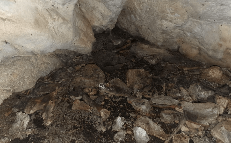 , Archeologický nález v jaskyni, Slovenská speleologická spoločnosť